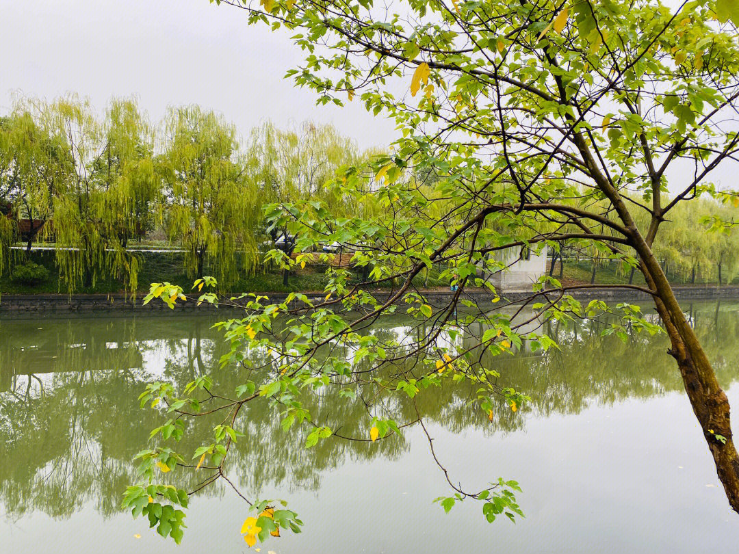 良渚文化村景点介绍图片