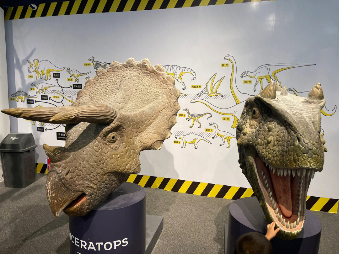 中国实验室孵化恐龙图片