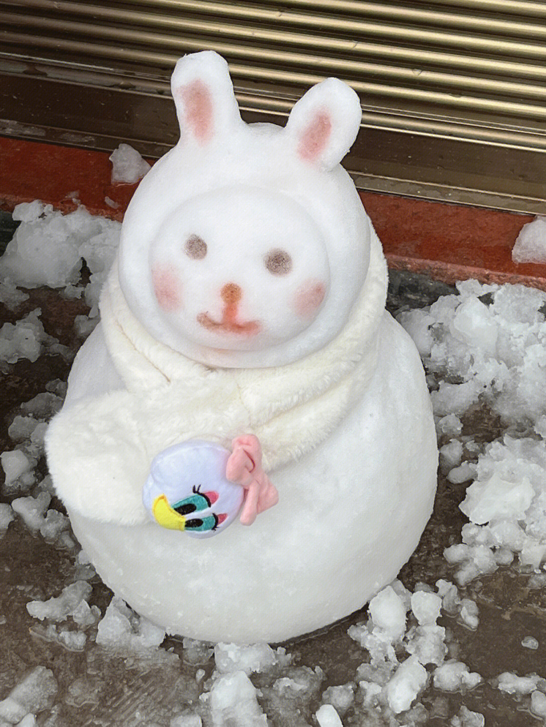 雪堆的兔子图片