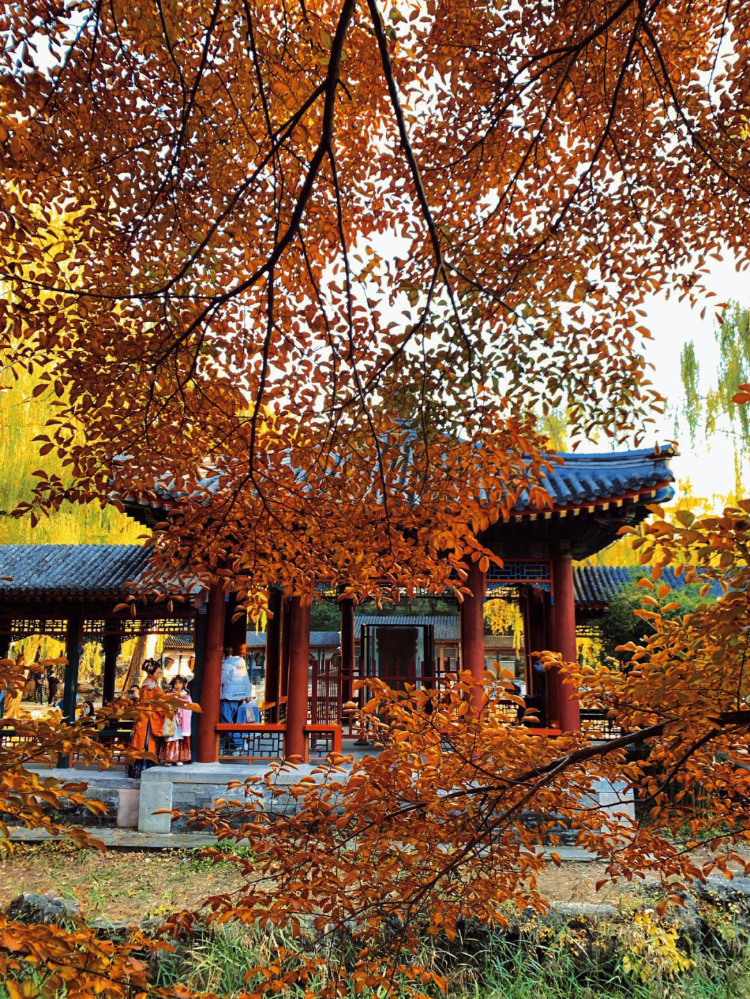 颐和园秋天图片