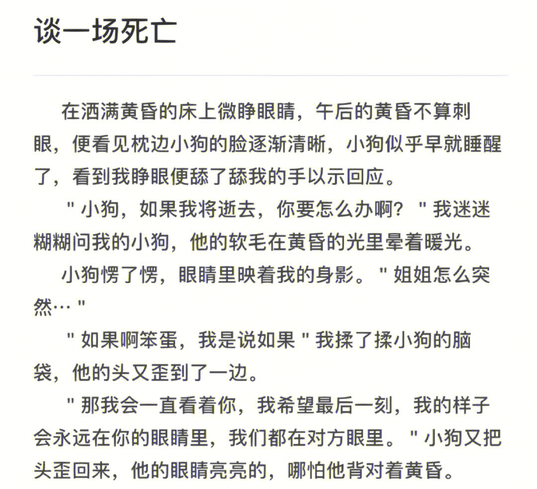 我的小狗永远在坦诚的爱我