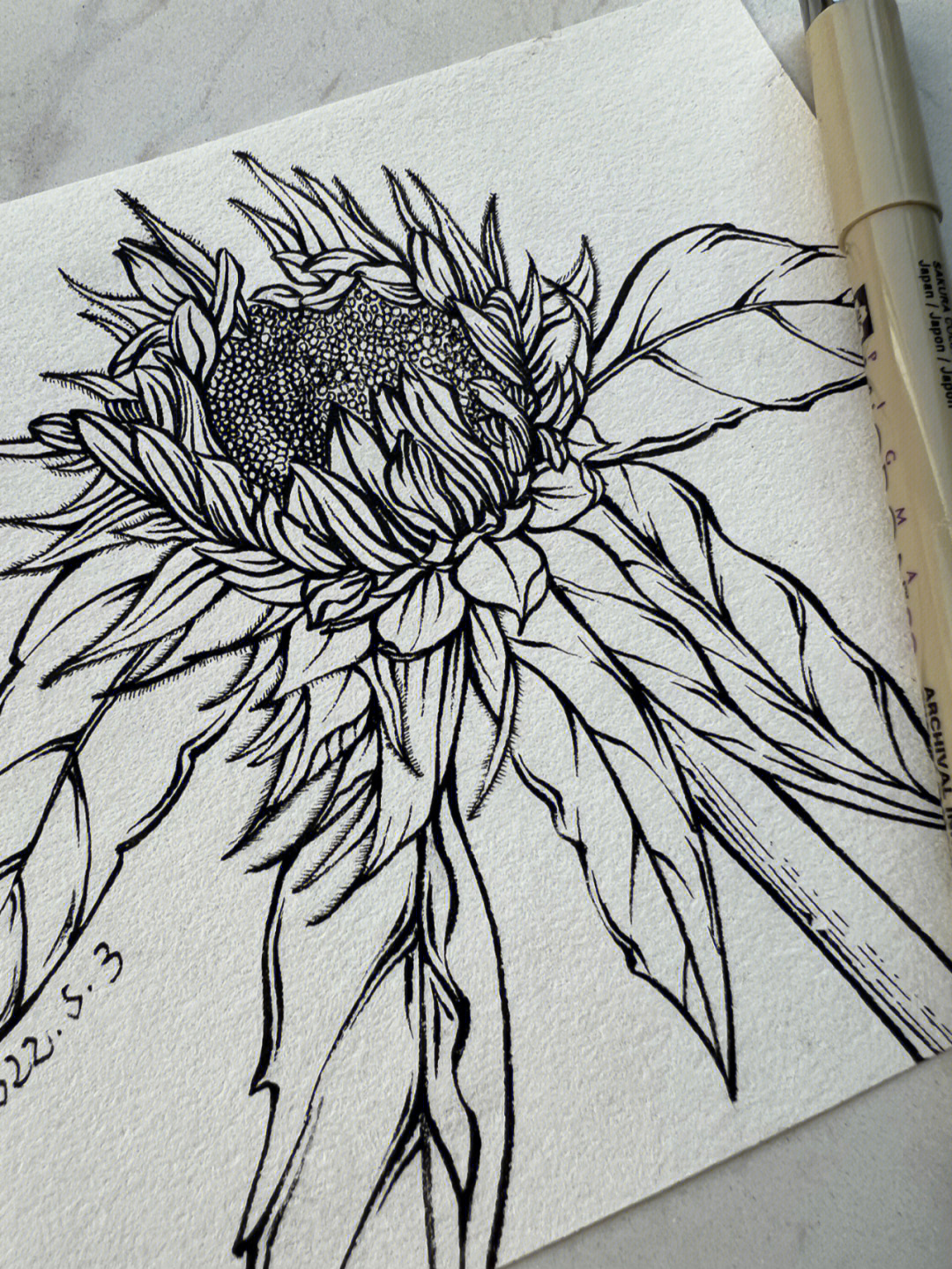 11种向日葵的画法素描图片