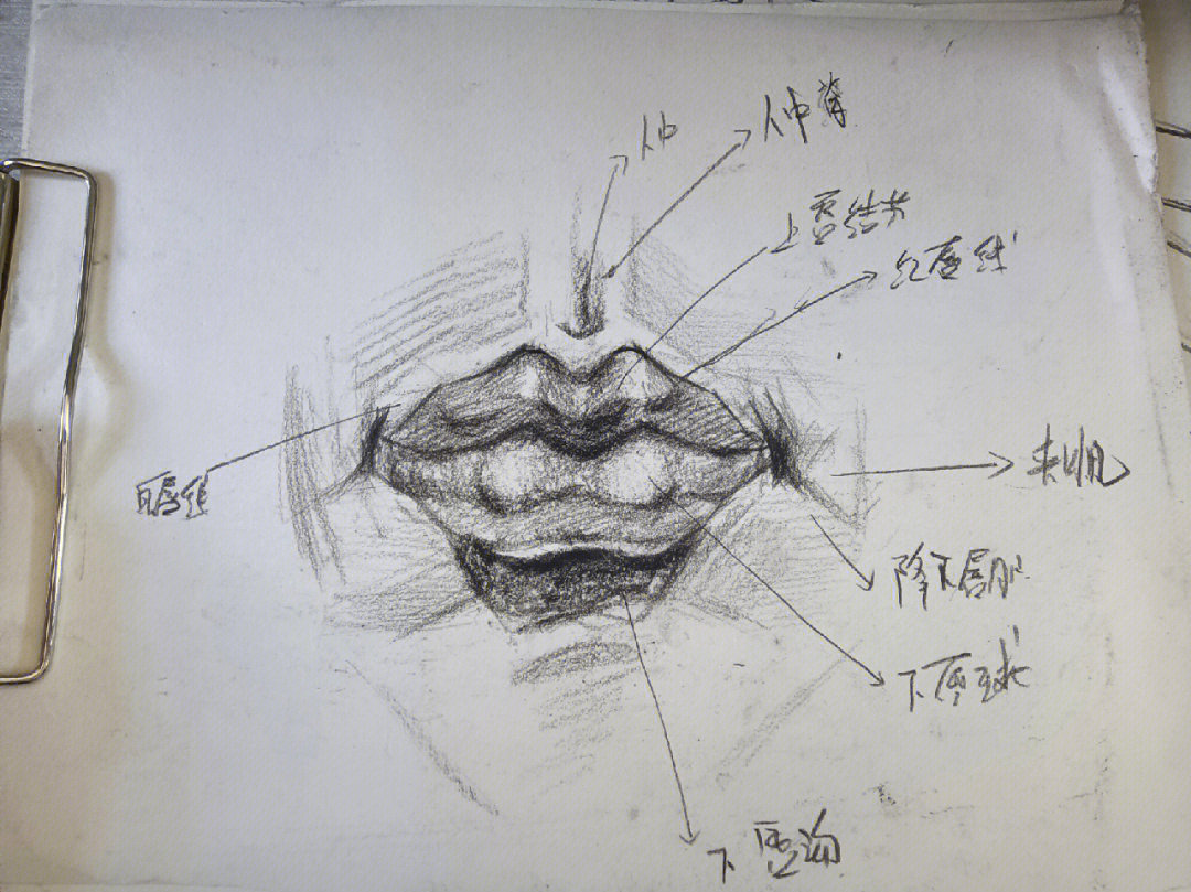嘴唇结构素描图片