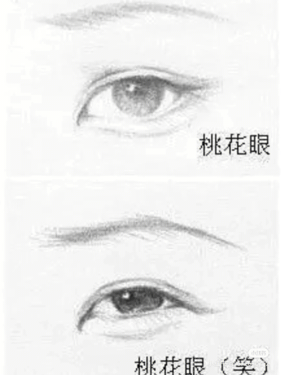 桃花眼丹凤眼杏仁眼图片