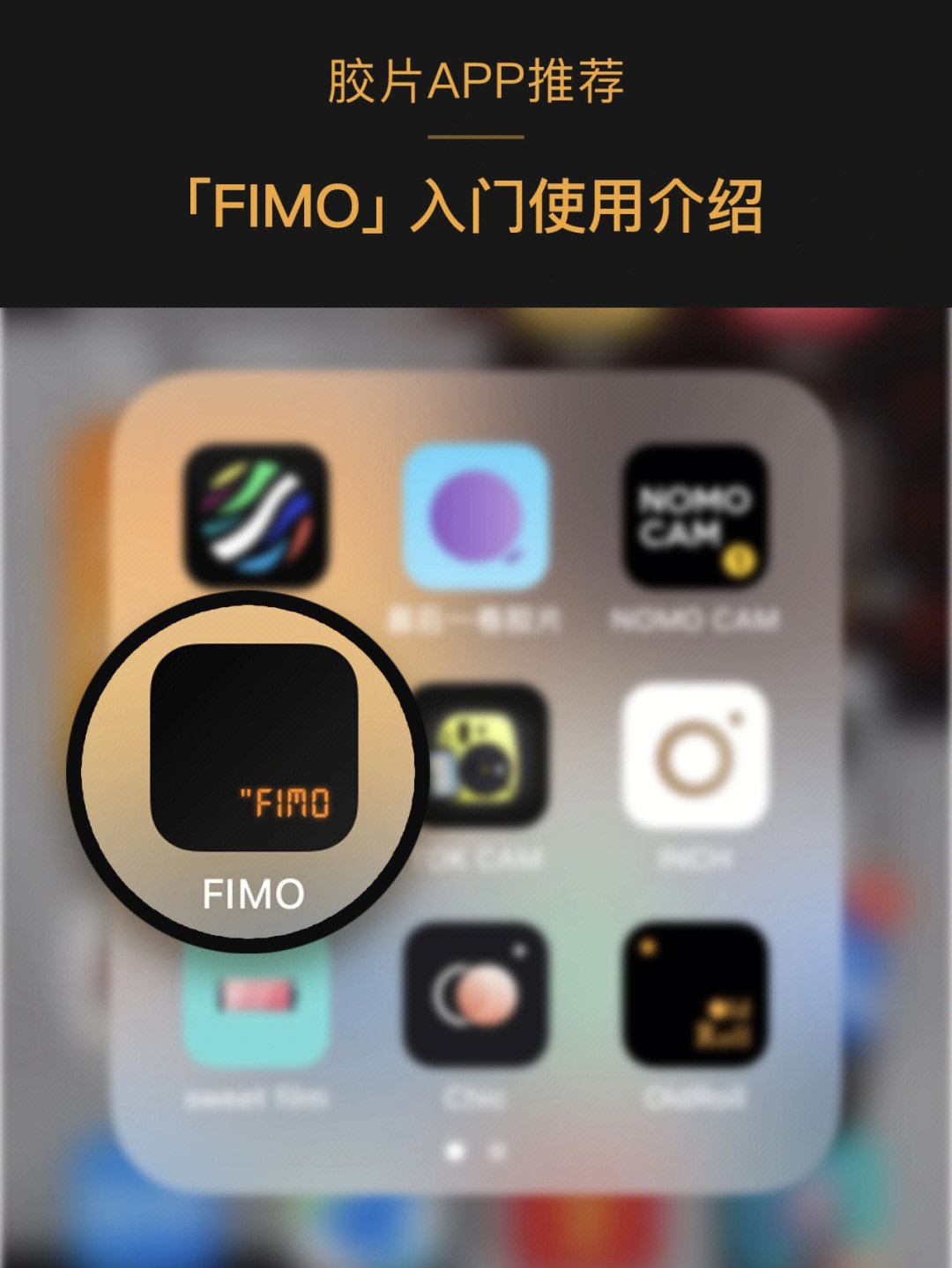 fimo相机图片