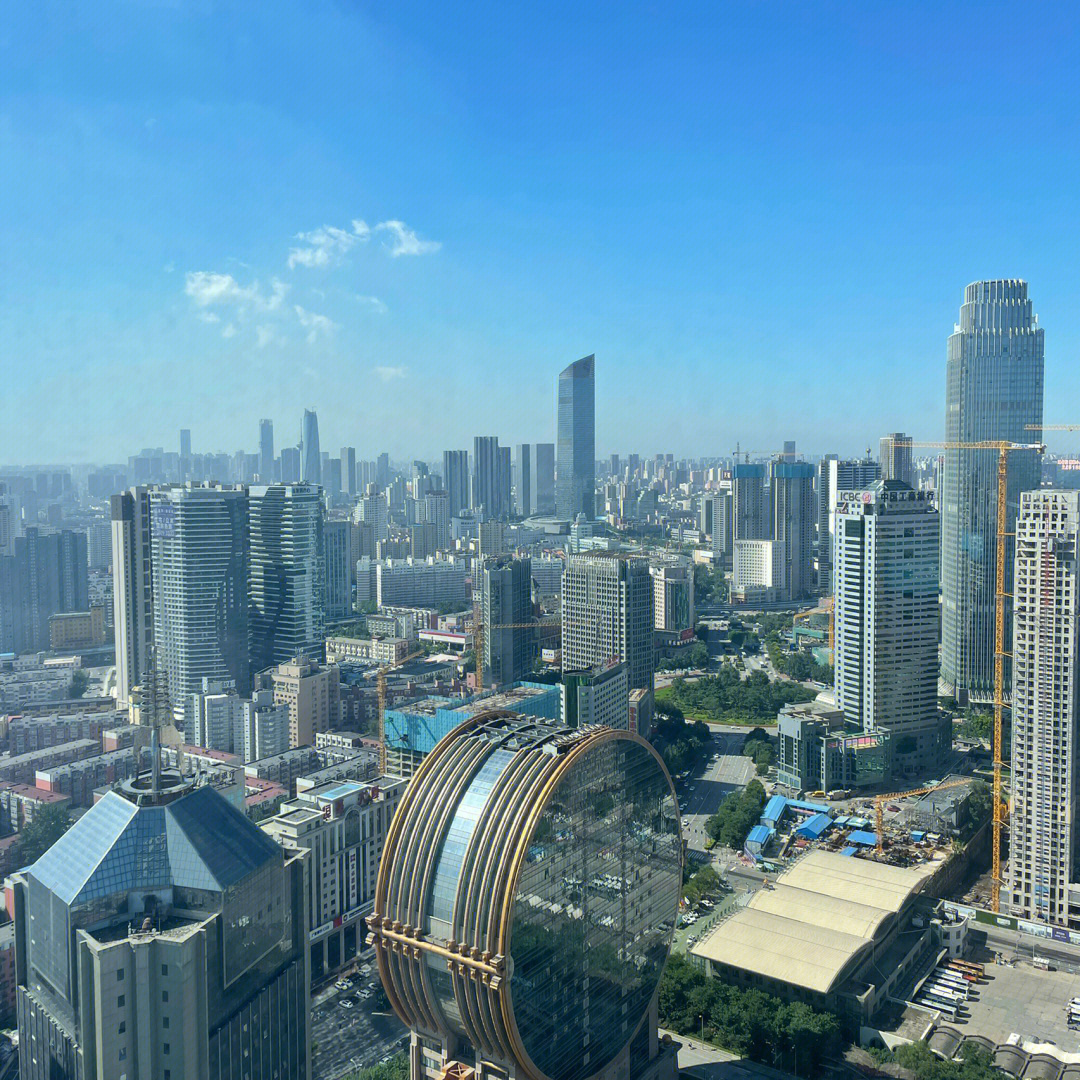 沈阳蓝天大酒店电话图片