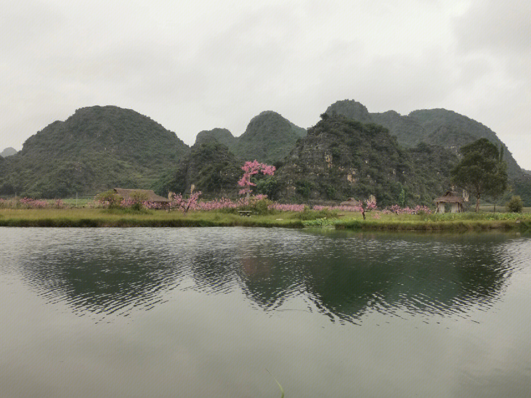 南郑十里桃花景区图片