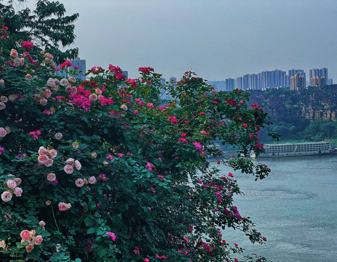 重庆巴南铜锣湾公园图片