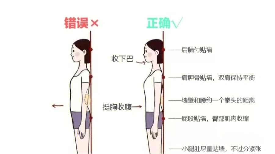 后背靠墙的正确姿势图片