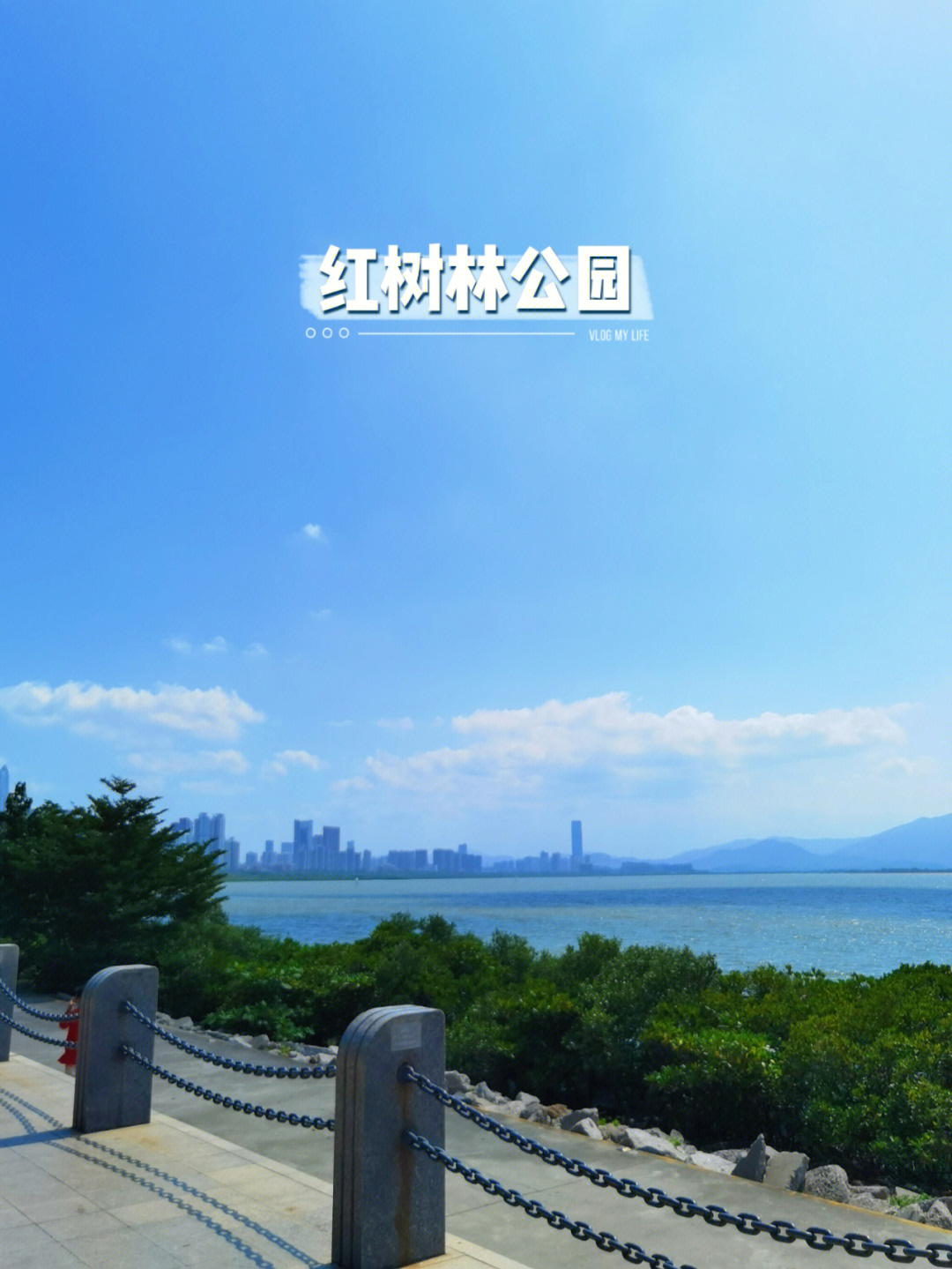 深圳红树林海滨公园图片