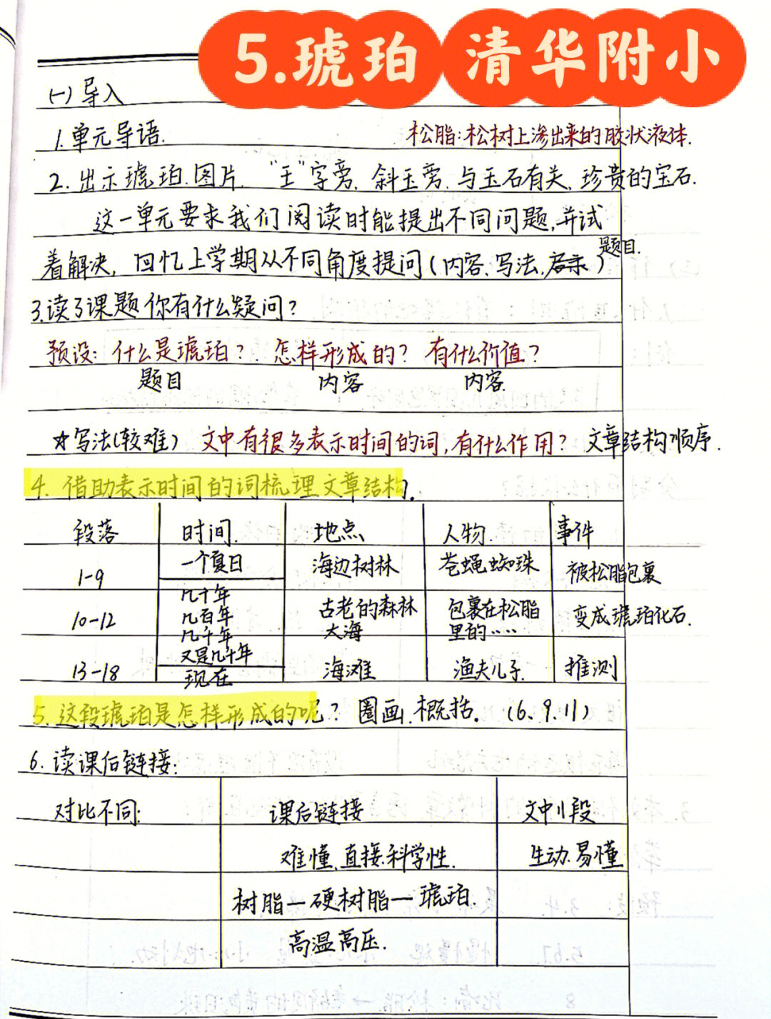 四年级下册琥珀表格图片