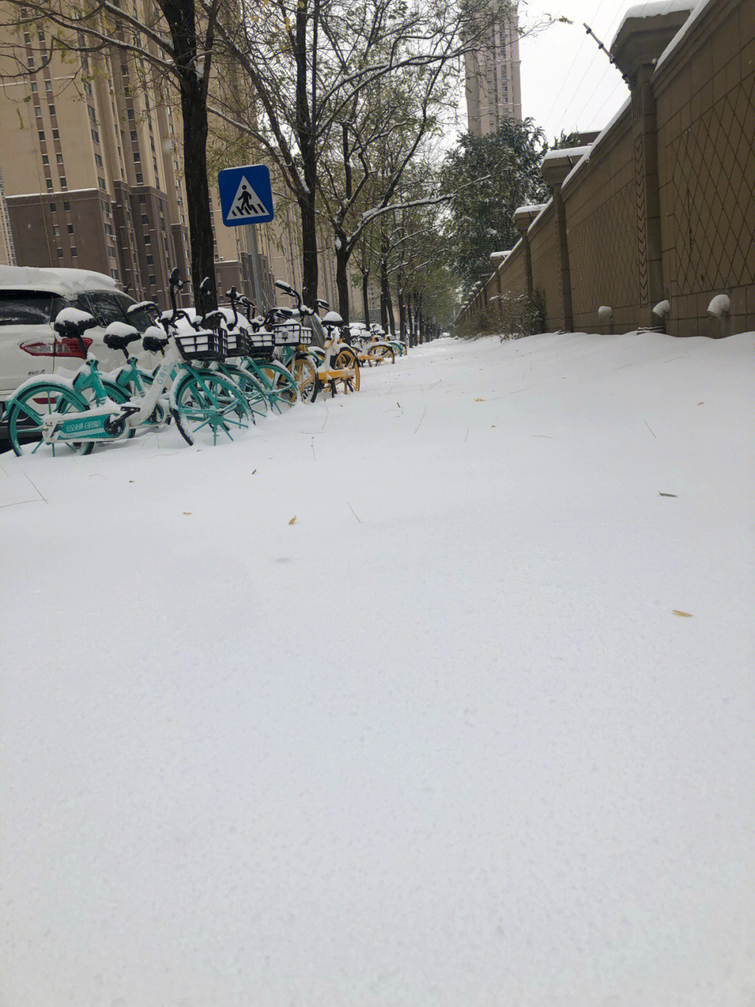 年假第二天,沈阳迎来罕见暴雪,窗外大雪纷飞,屋内热气腾腾.