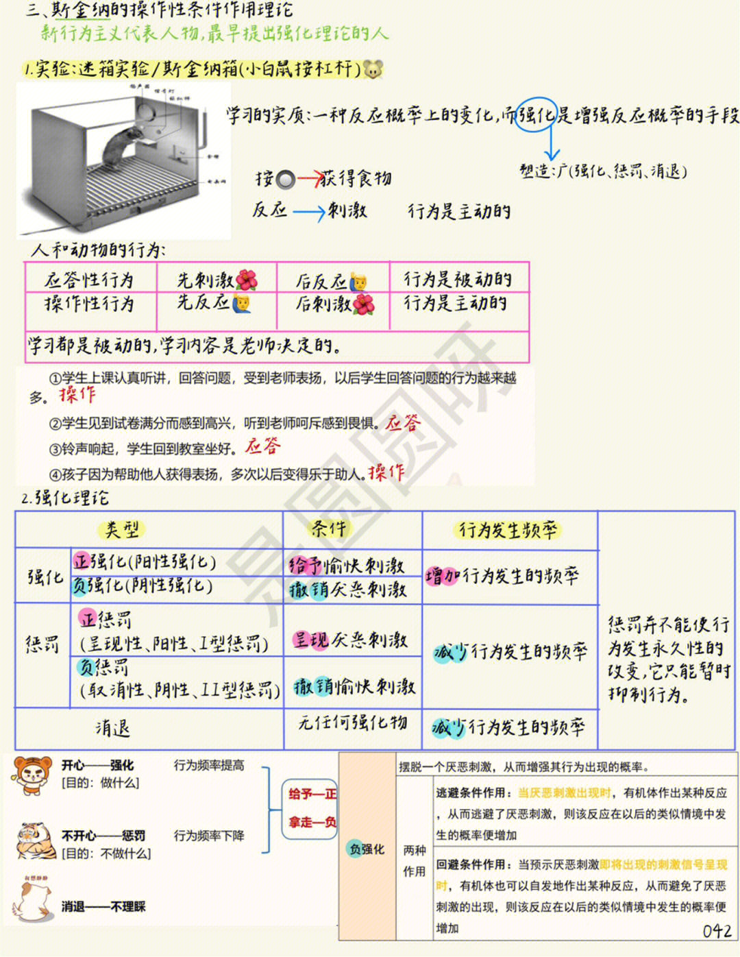 教育心理学斯金纳的小老鼠