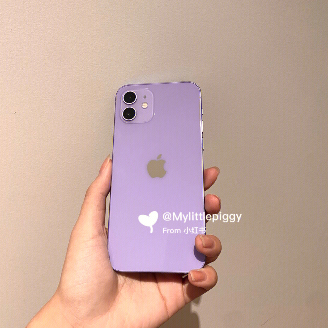 iphone12紫色好绝13pm