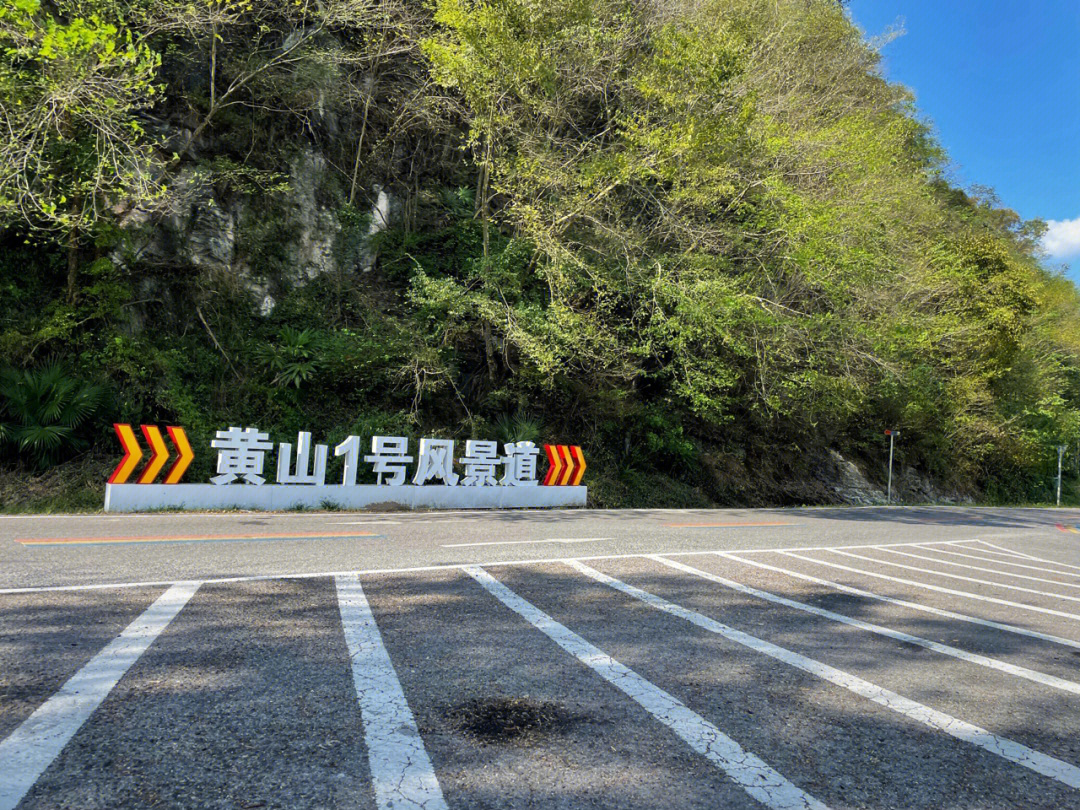 黄山1号风景道图片