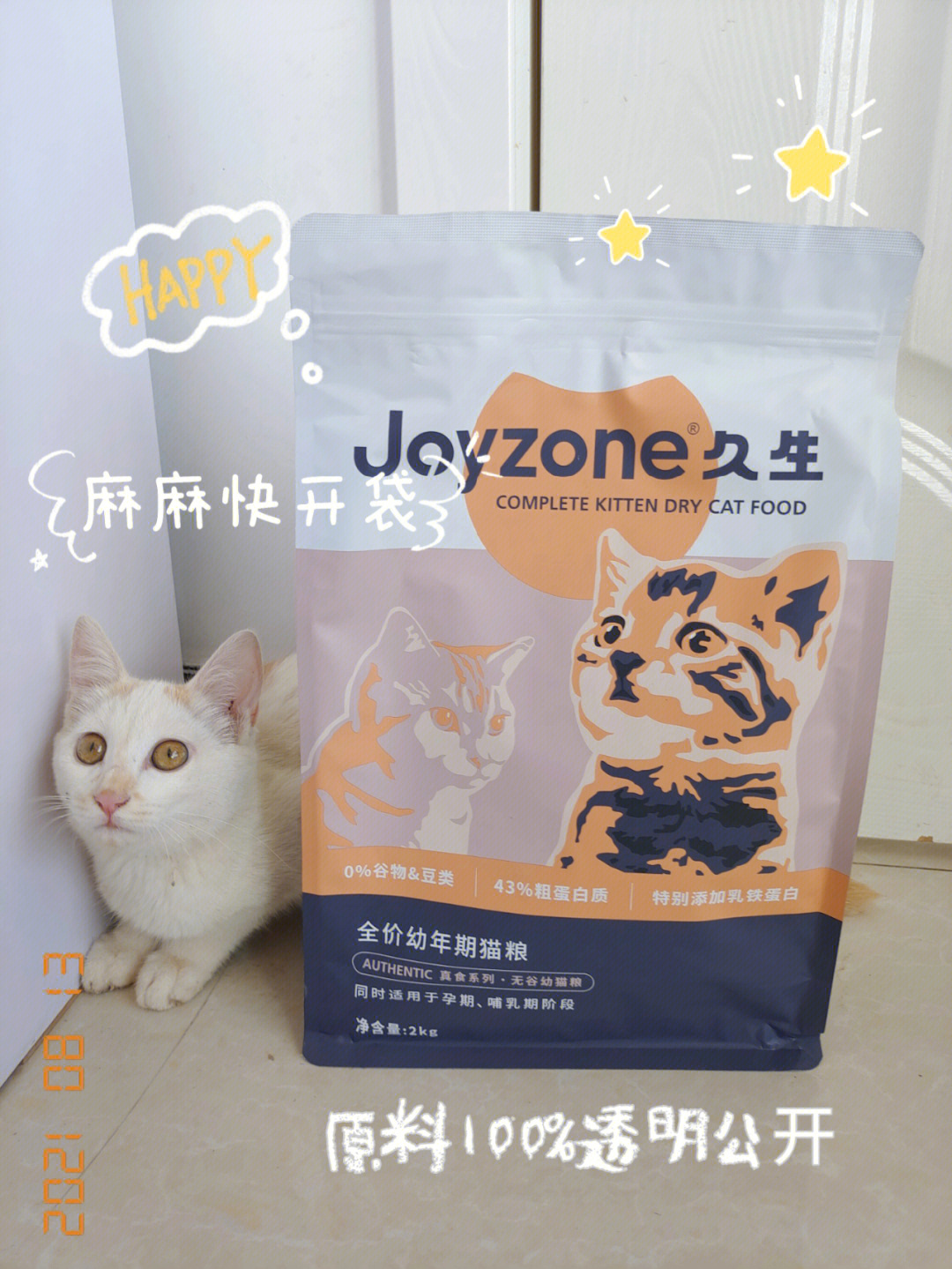 阔爱的小奶猫吃什么才能胖胖哒