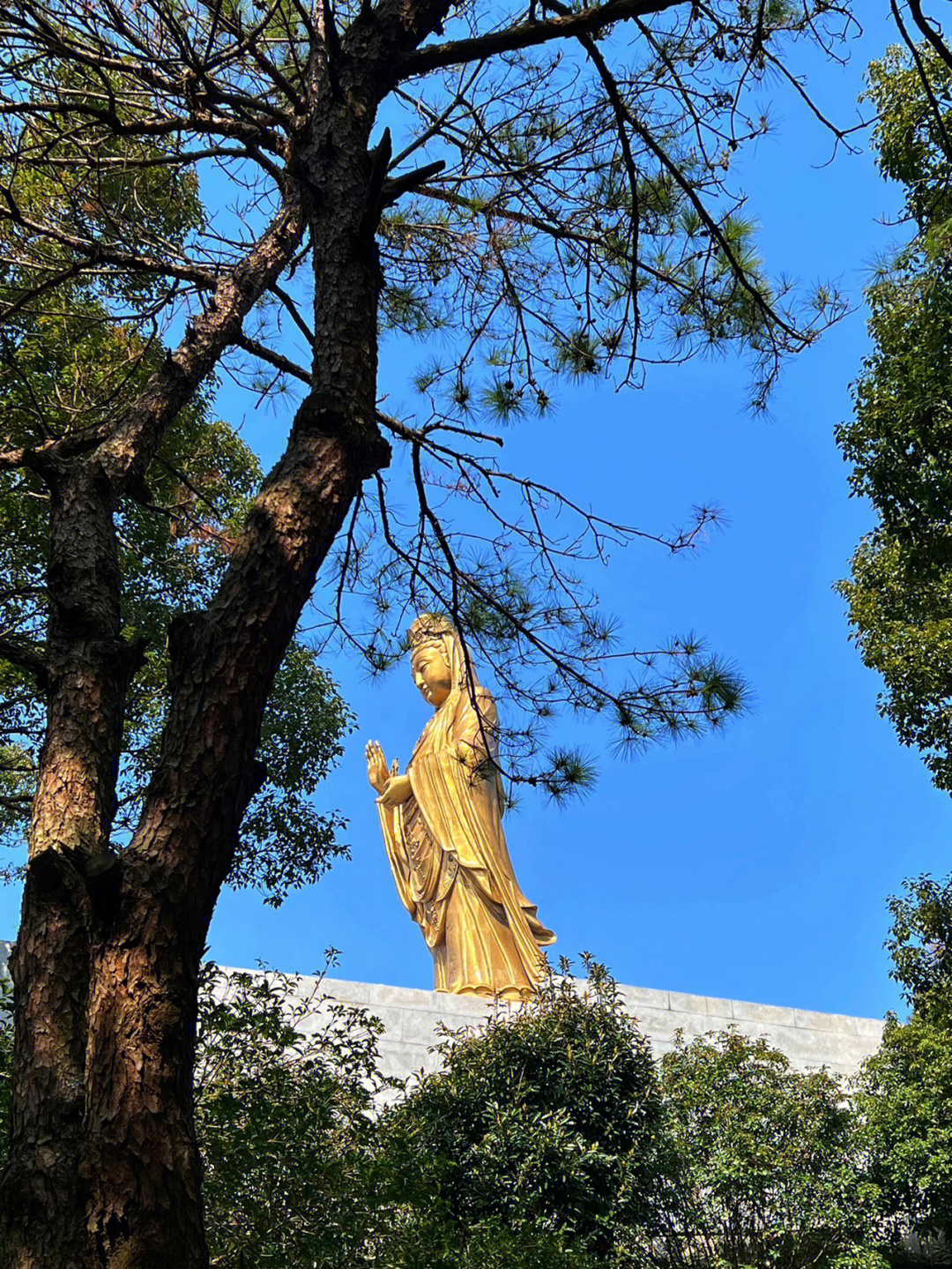 普陀山求子百子堂