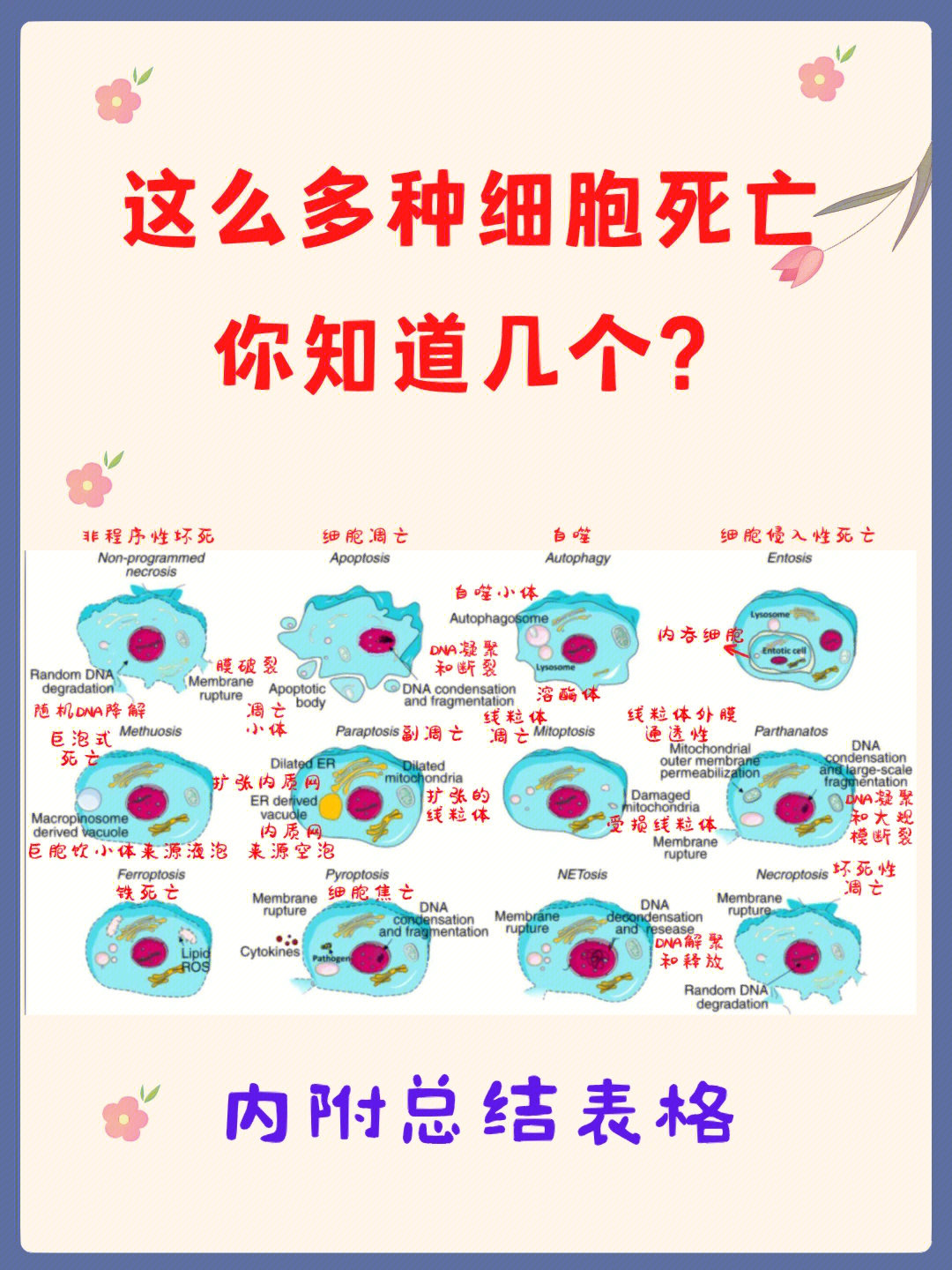 死亡细胞路线图手机版图片