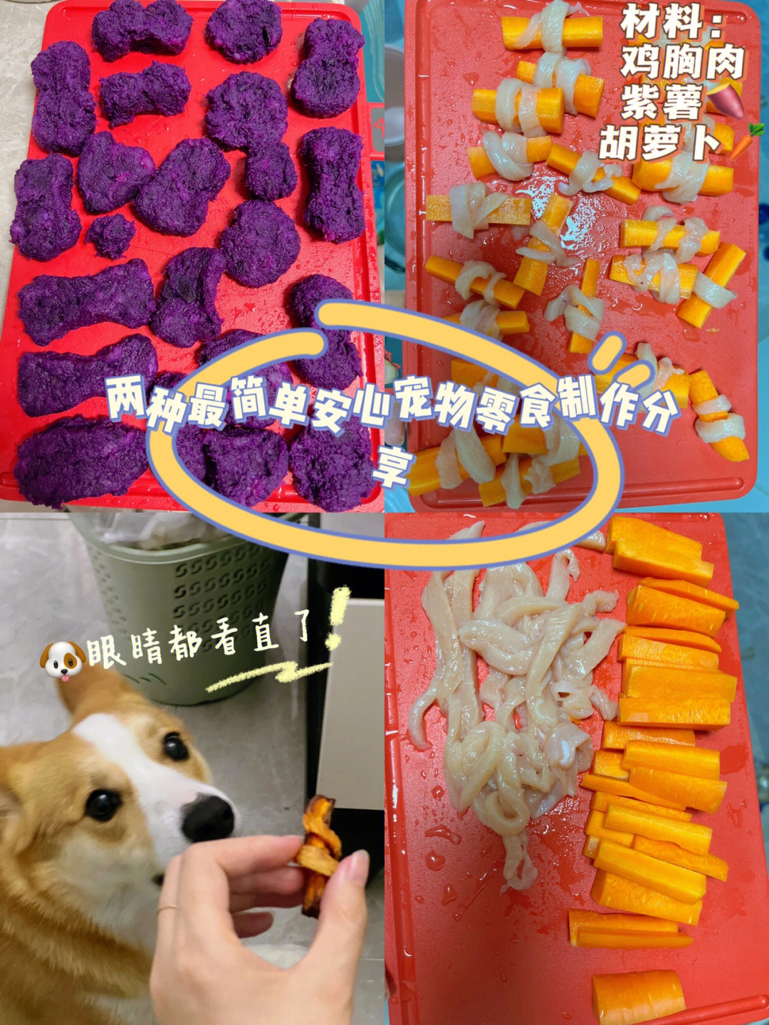 狗狗磨牙棒制作方法图片