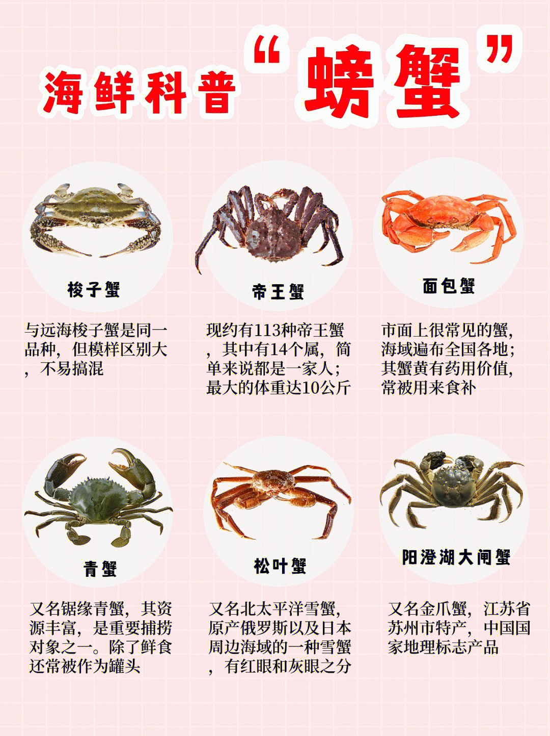 海蟹有多少种类及图片图片