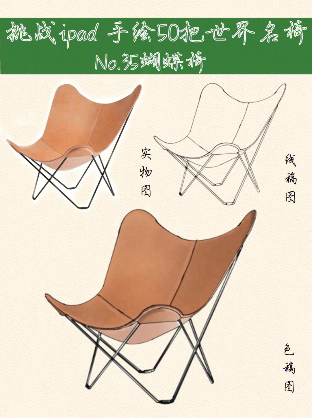 蝴蝶椅设计分析图片