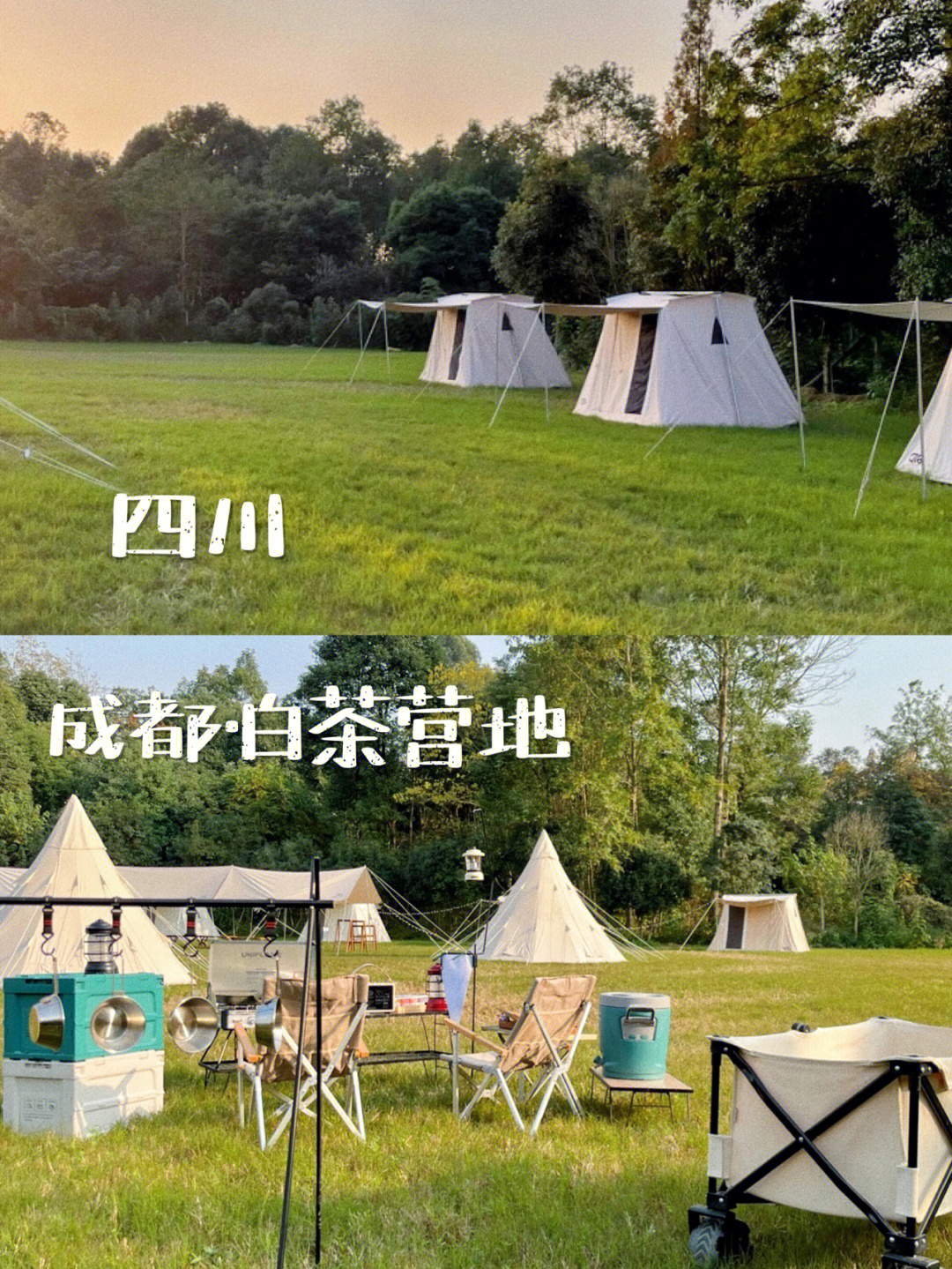 新都小脚丫基地图片