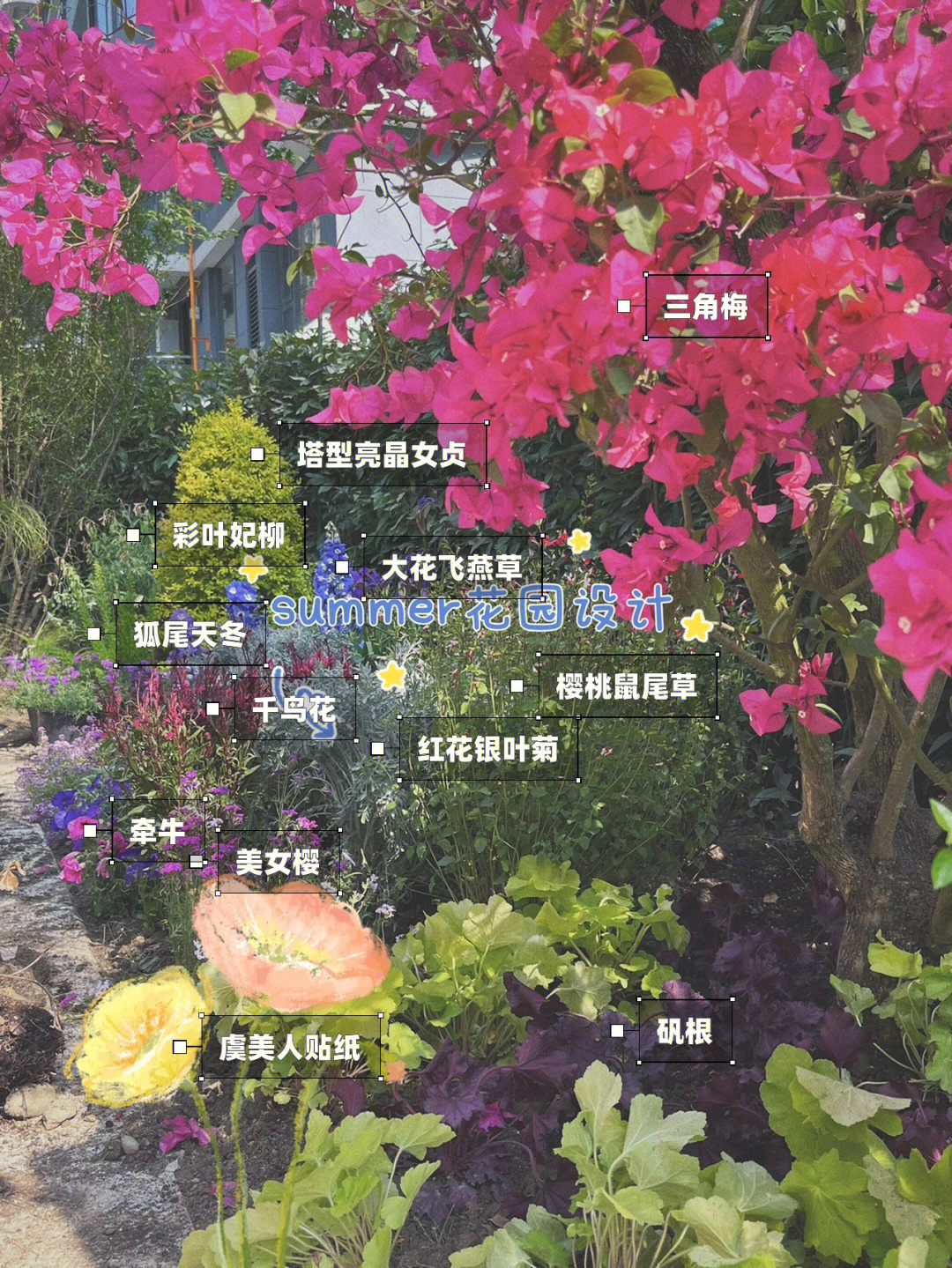 花境设计字体图片