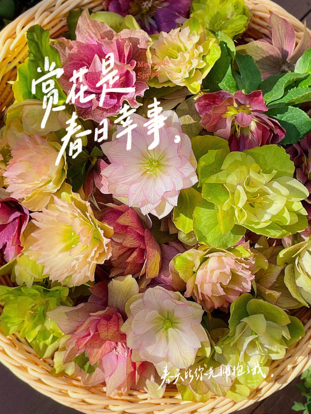 落花入泥