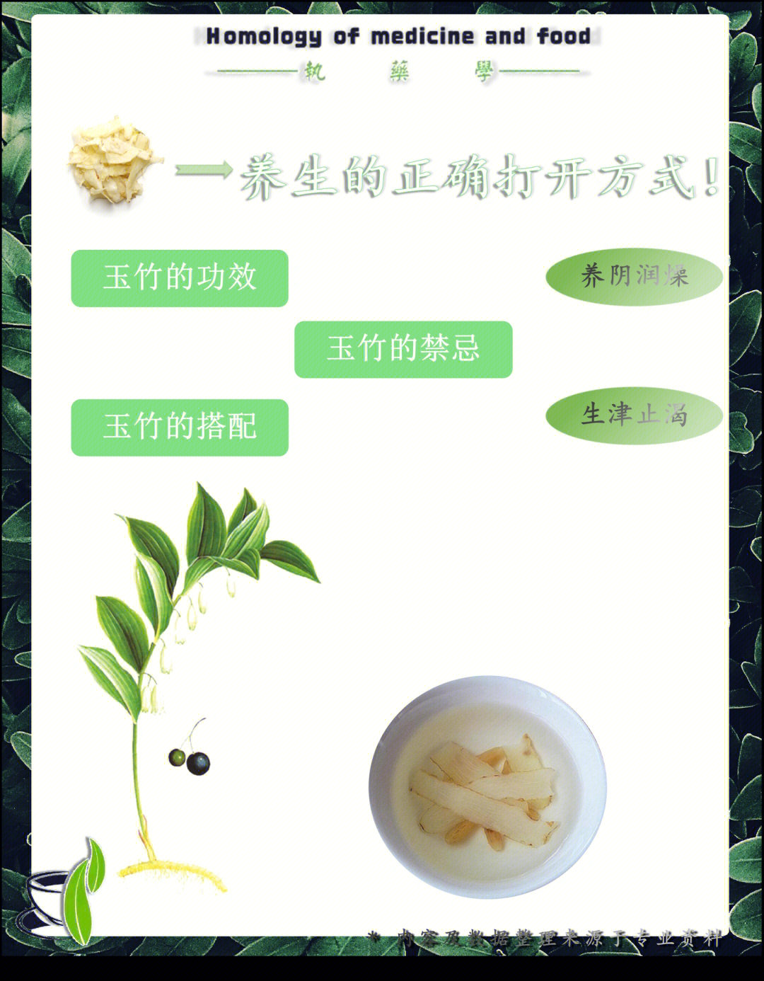 玉竹实用指南养阴润燥改善上火抗衰老
