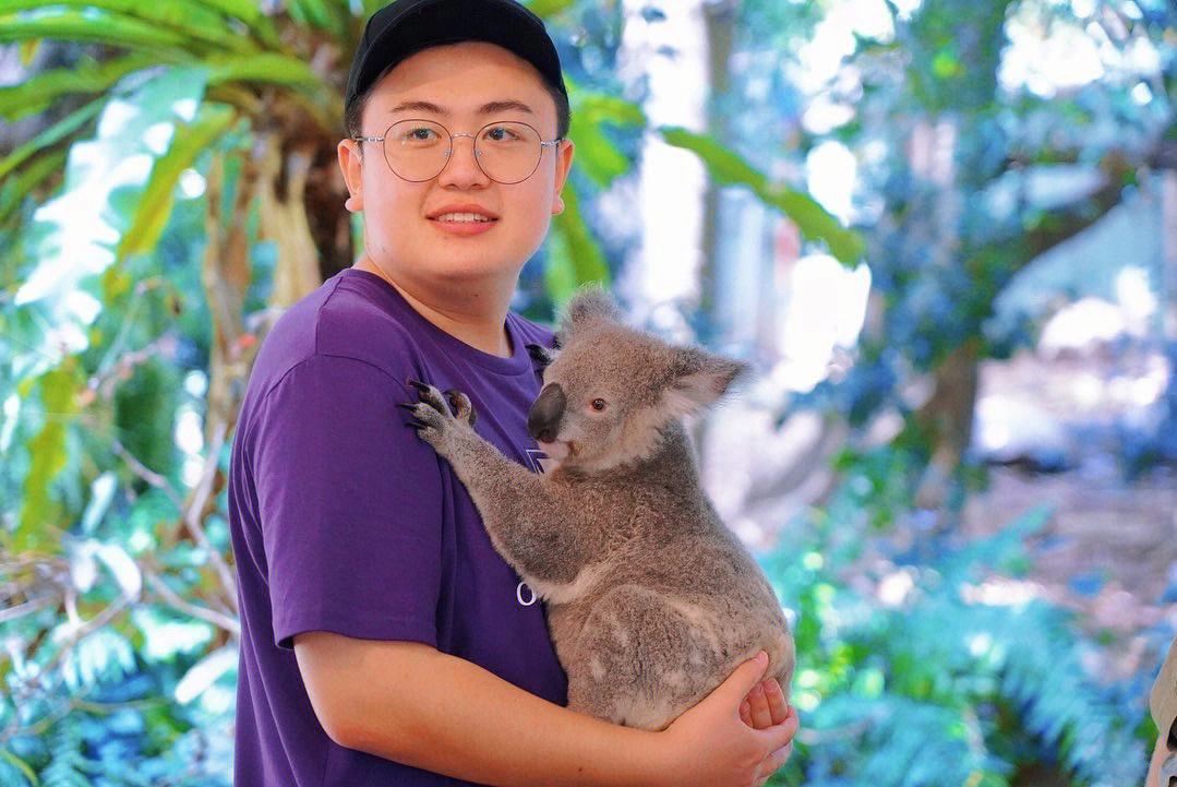 koala sampler图片