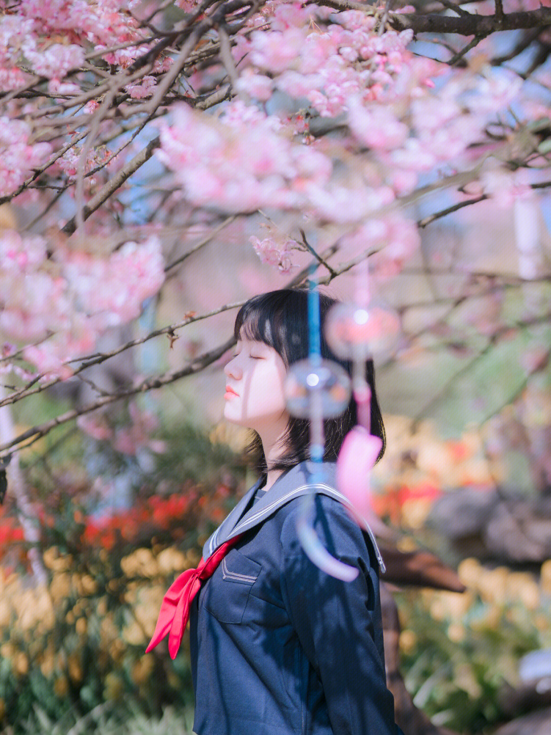 妄想山海南山樱花分布图片