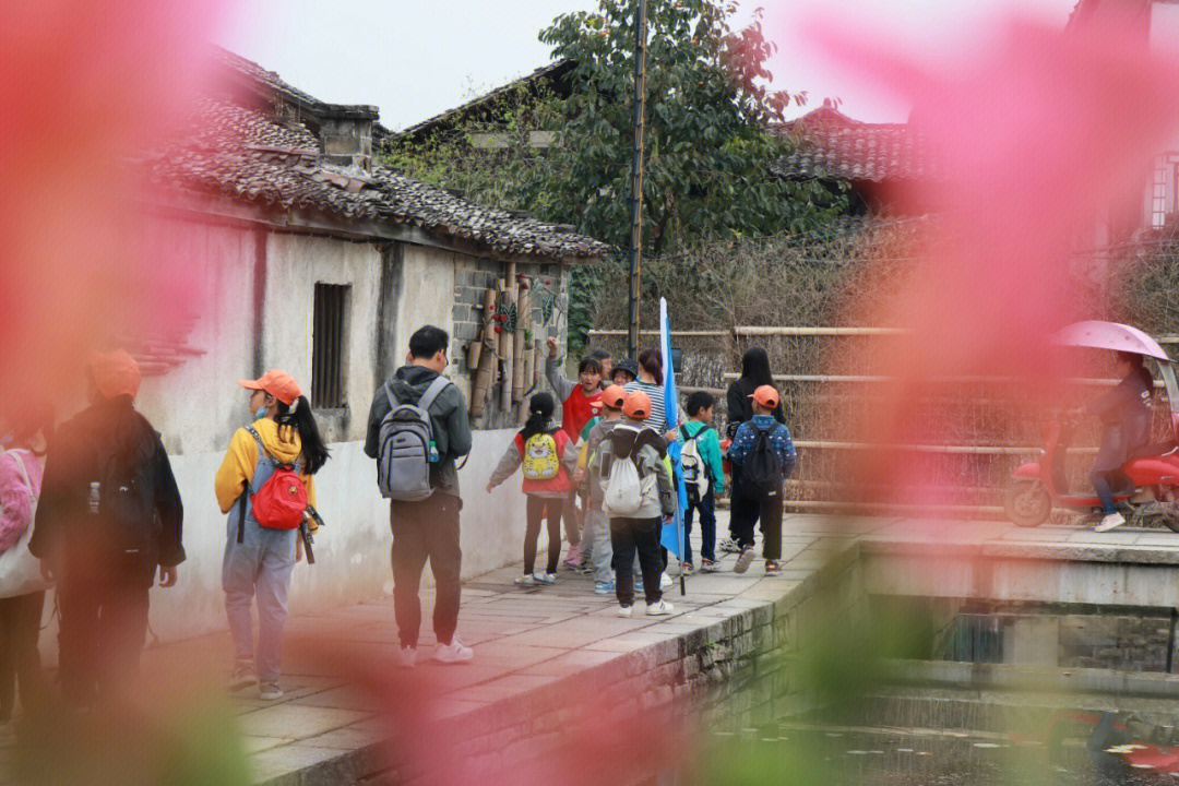 天宝古村研学之旅