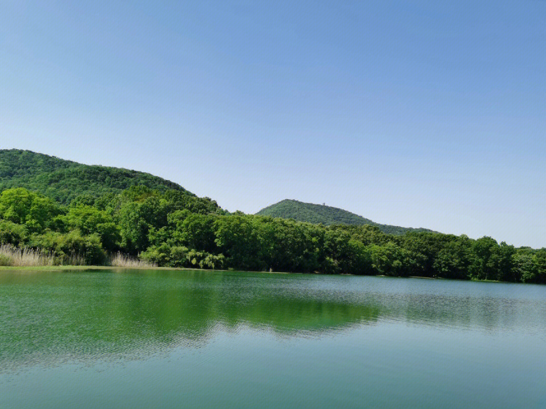 没有人从众只此青绿南京象山湖