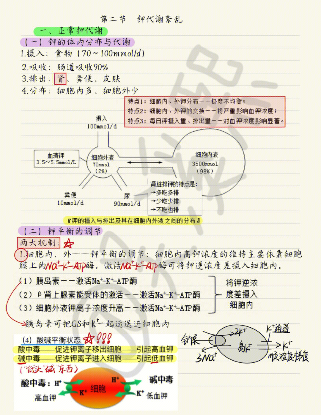 钾代谢紊乱思维导图图片