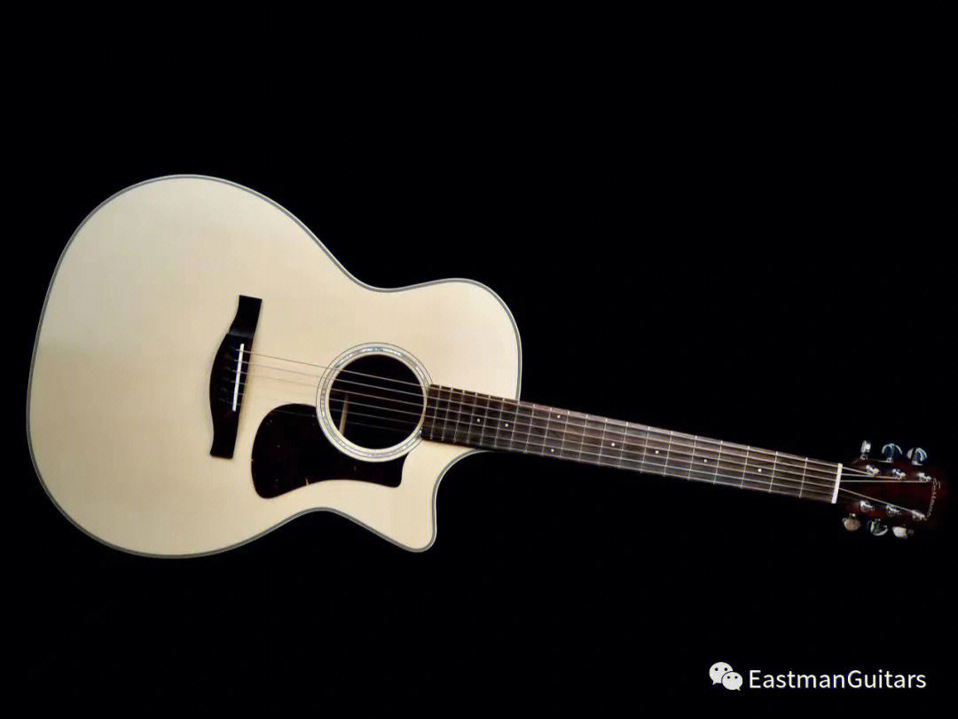 eastman吉他logo图片