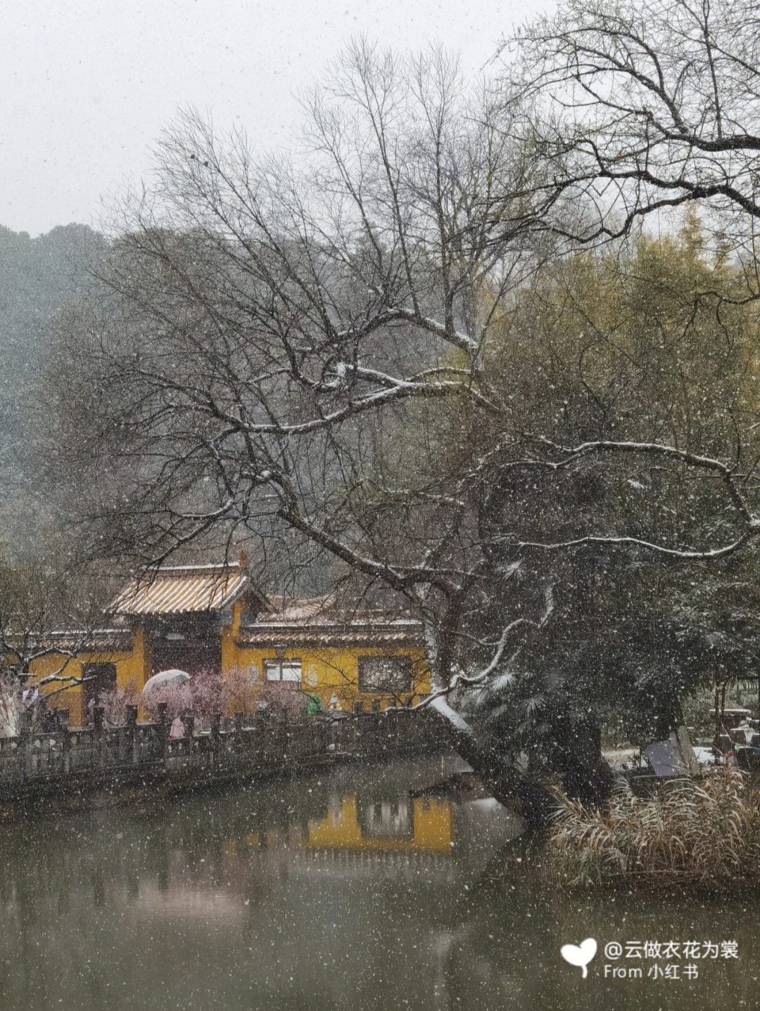 昆明下雪黑龙潭公园似古画仙境梅花伴雪