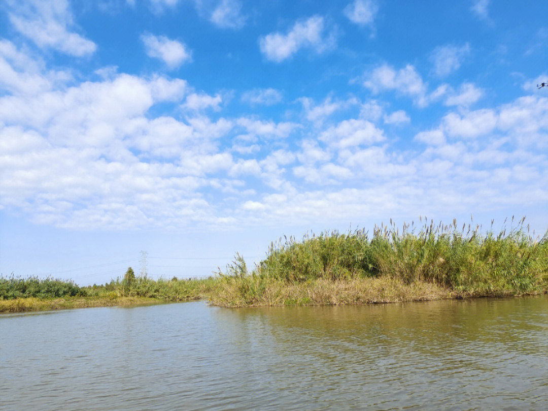 杭州湾湿地公园地址图片