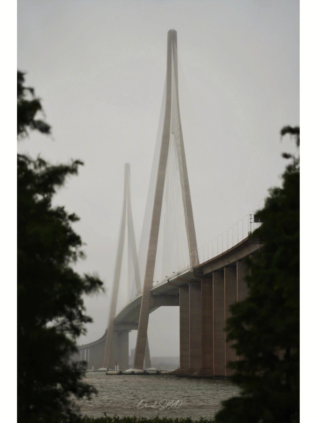 苏通大桥的图片和简介图片