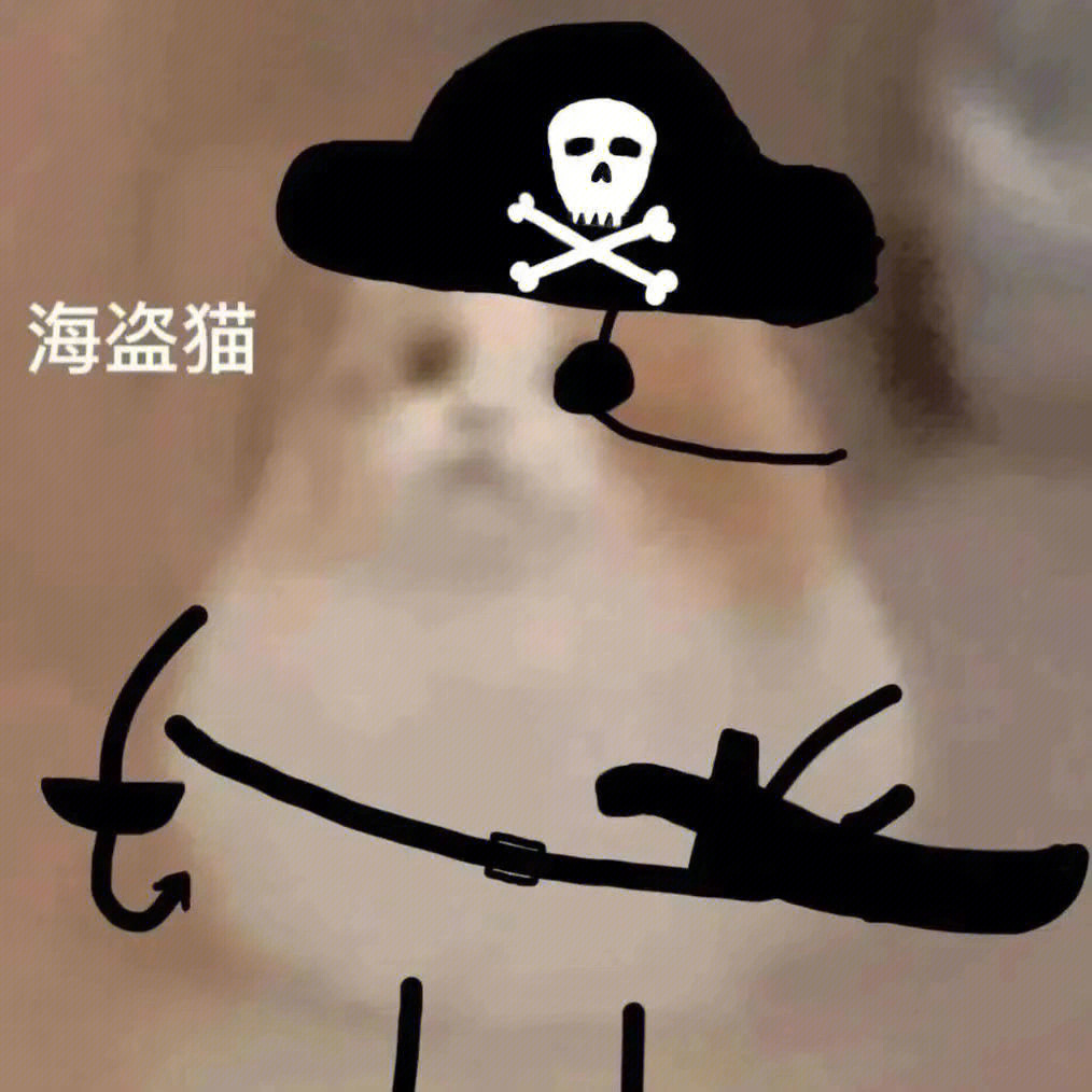 海盗猫表情包