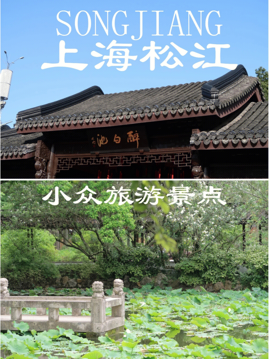 上海松江小众旅游景点醉白池公园