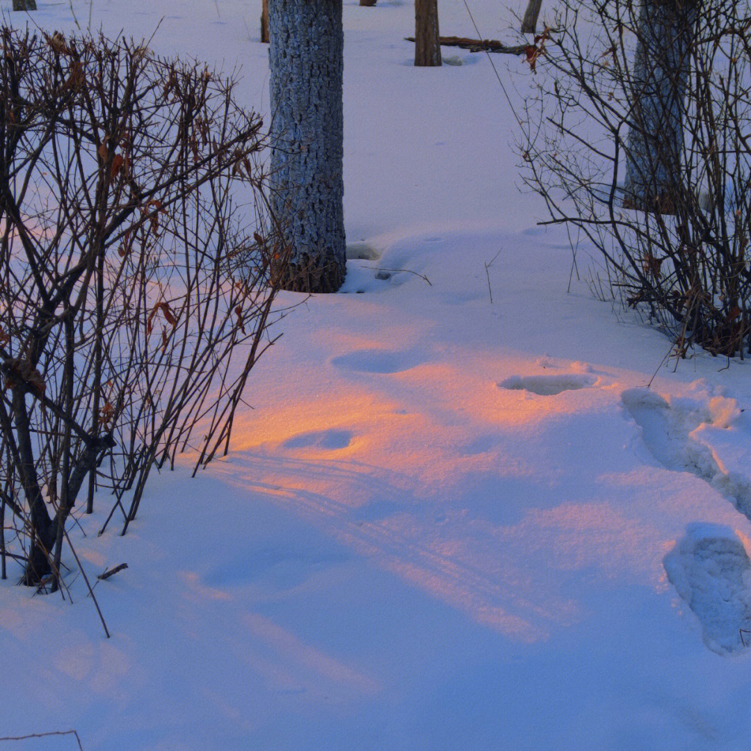 描写落日雪景图片