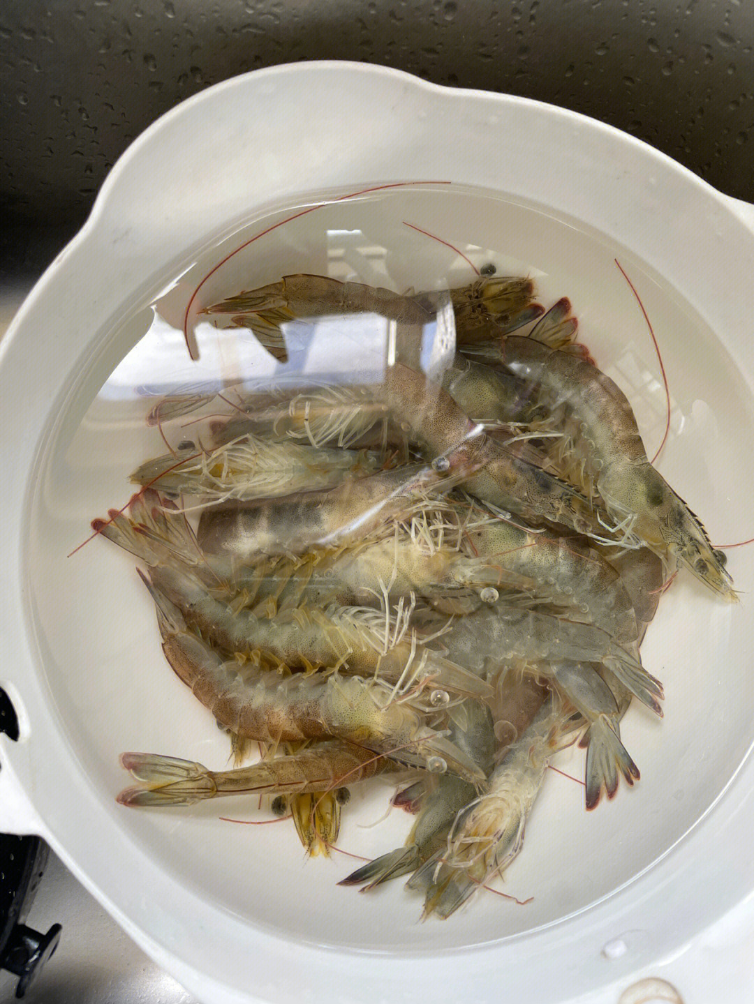 虾子海参碗鱼图片