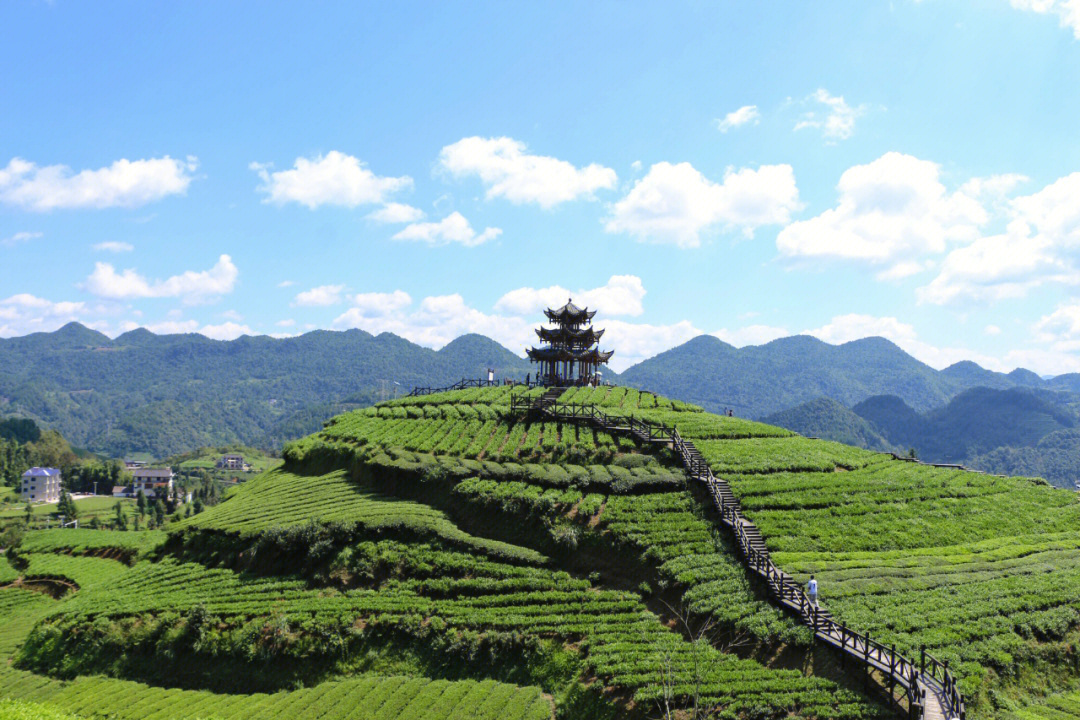 伍家台风景区介绍图片