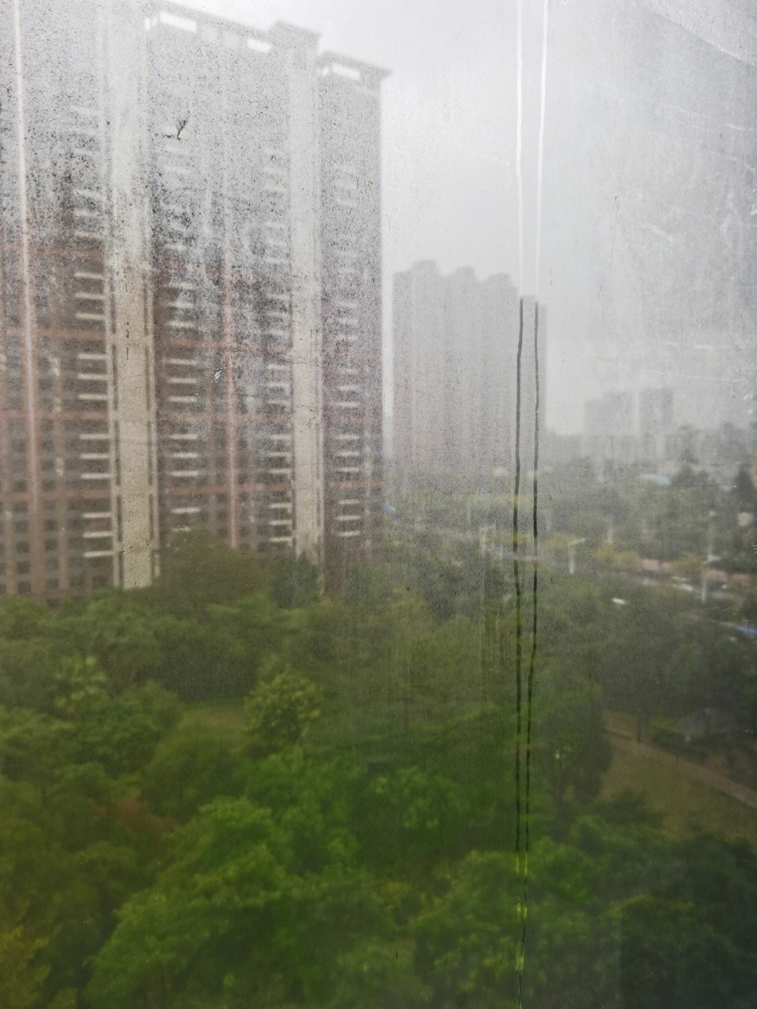 广州梅雨季图片