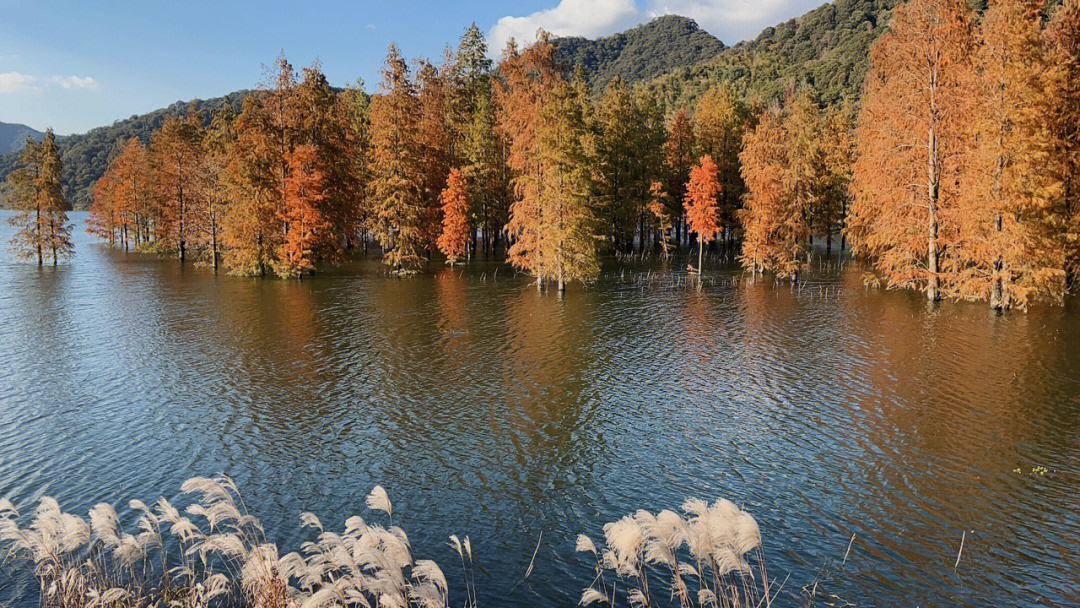 宁波三溪浦水库图片