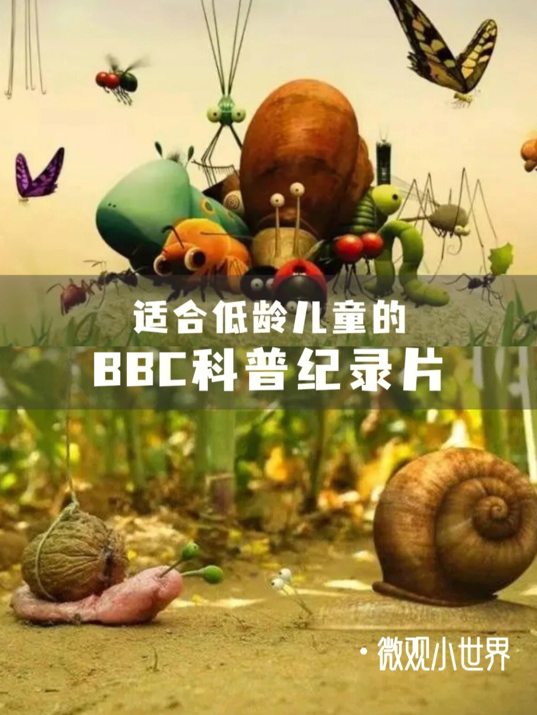 909部适合低龄儿童的bbc纪录片|丰富认知