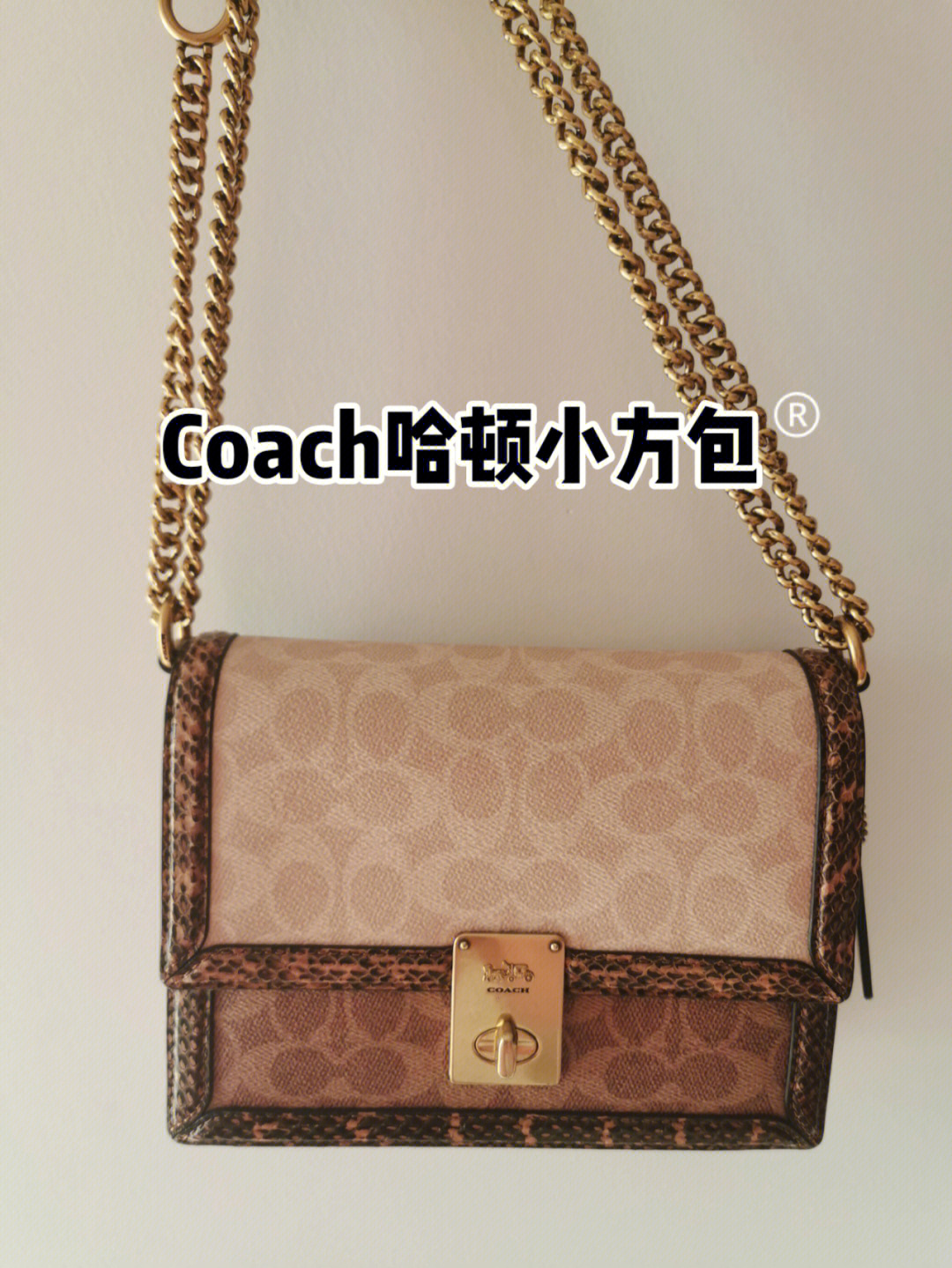 coach哈顿小方包鉴定图片