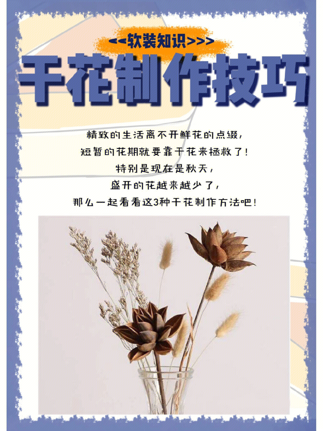 帝王花干花制作方法图片