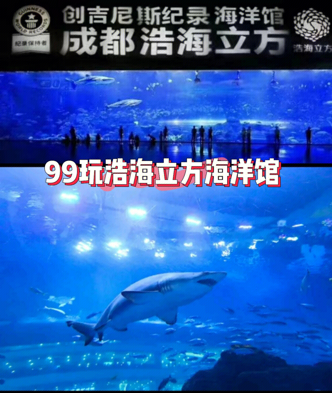 成都海滨城海洋馆门票图片