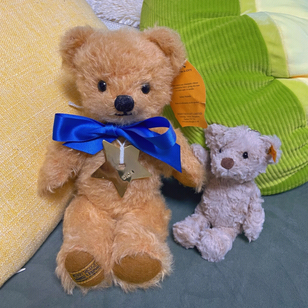 泰迪熊小熊家族又添新成员
